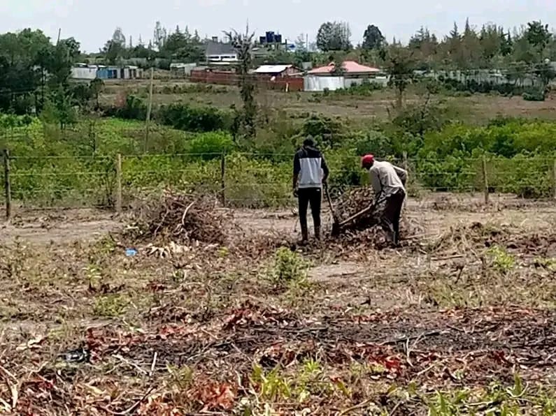 Land Plot 3
